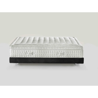 Matrac Maestro Dual 14